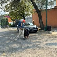 Imagen de perfil