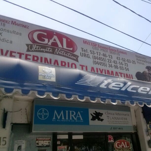 Imagen de perfil
