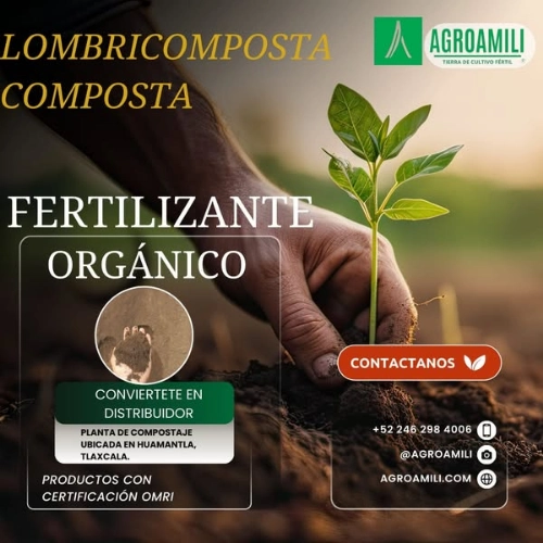 Imagen de servicio