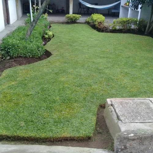 Imagen de servicio