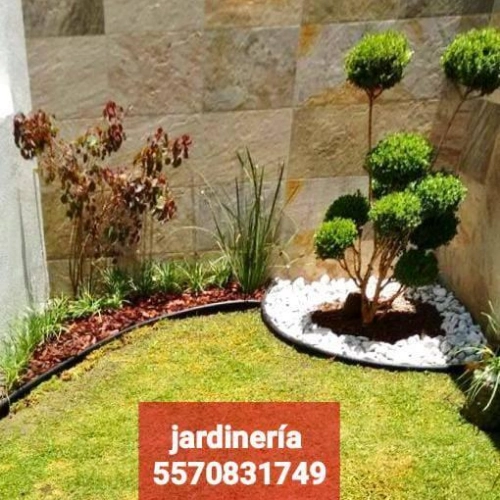 Imagen de servicio