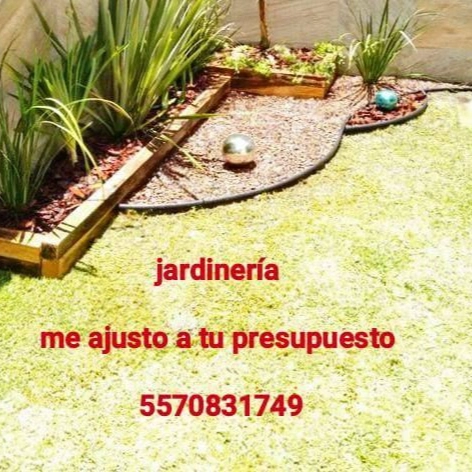 Imagen de servicio