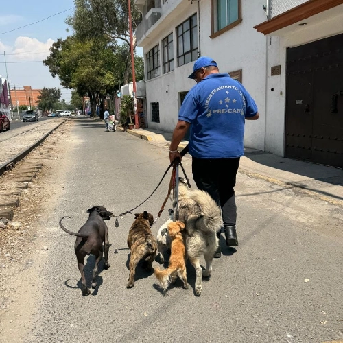 Imagen de servicio