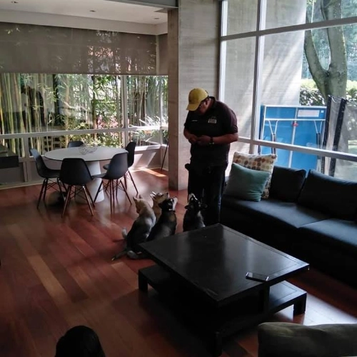 Imagen de servicio