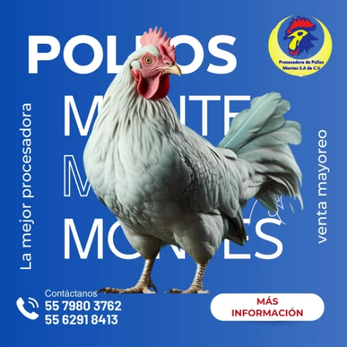 Imagen de servicio