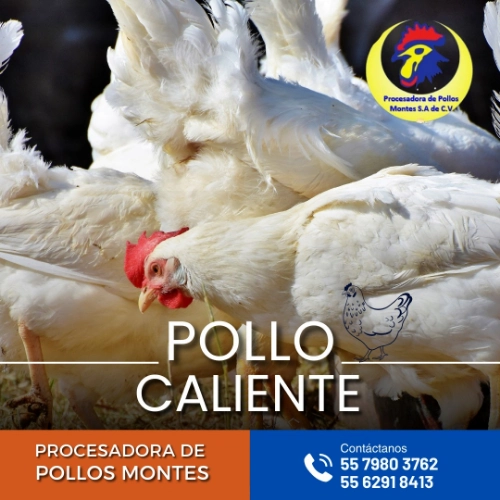 Imagen de servicio