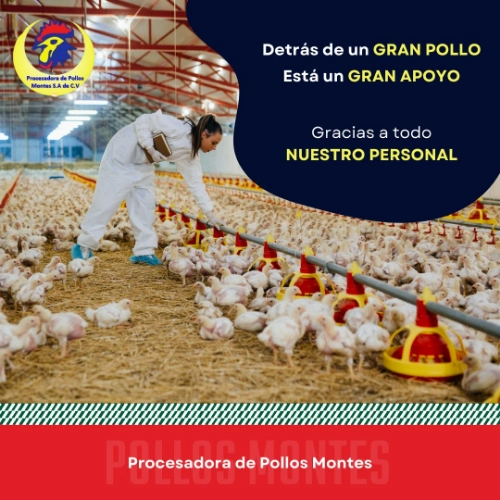 Imagen de servicio