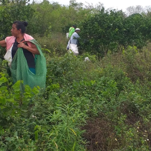 Imagen de servicio