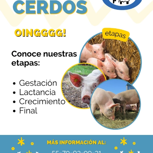 Imagen de servicio