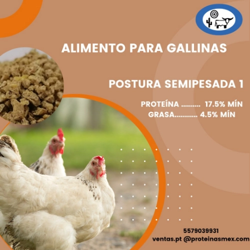 Imagen de servicio