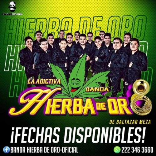 Imagen de servicio