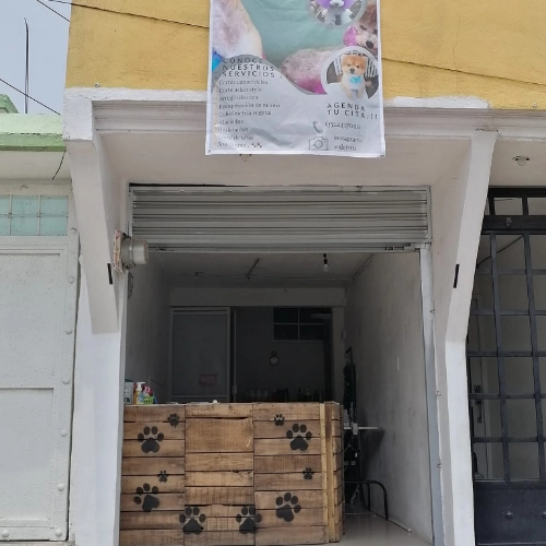 Imagen de servicio