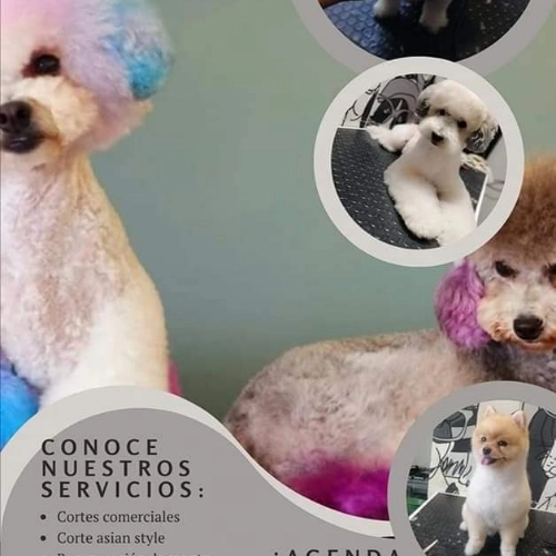 Imagen de servicio
