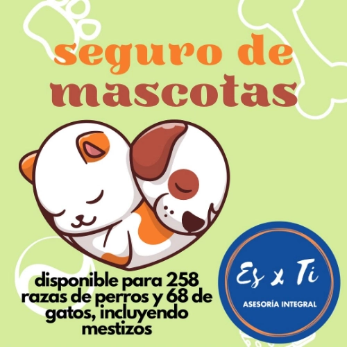 Imagen de servicio
