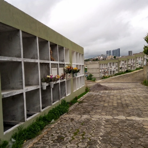 Imagen de servicio