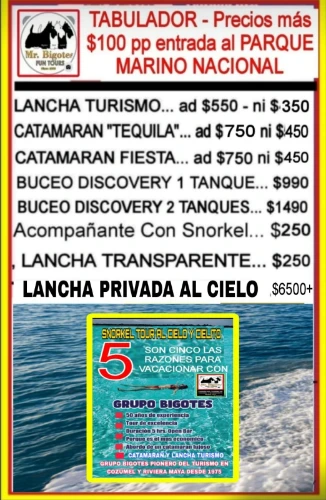Imagen de servicio
