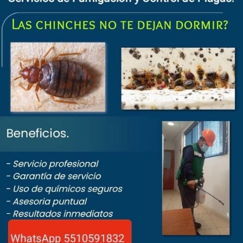 Imagen de servicio