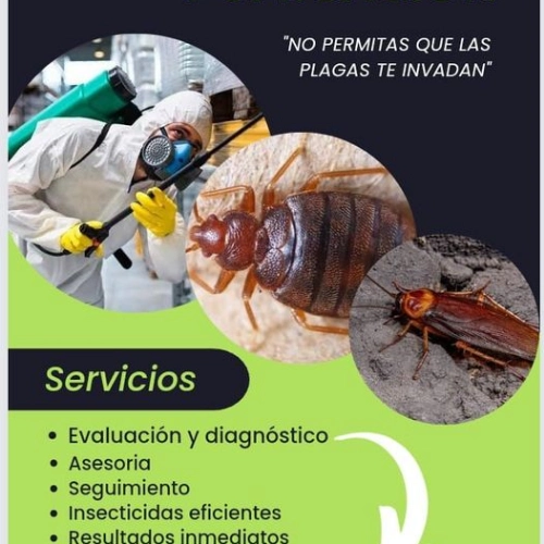 Imagen de servicio