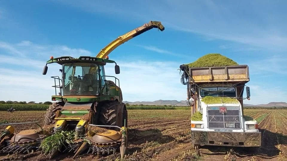 Imagen de servicio