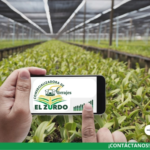 Imagen de servicio