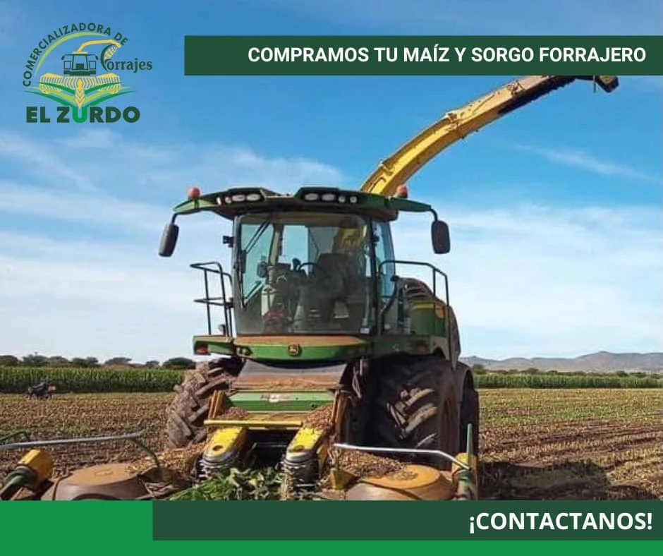 Imagen de servicio