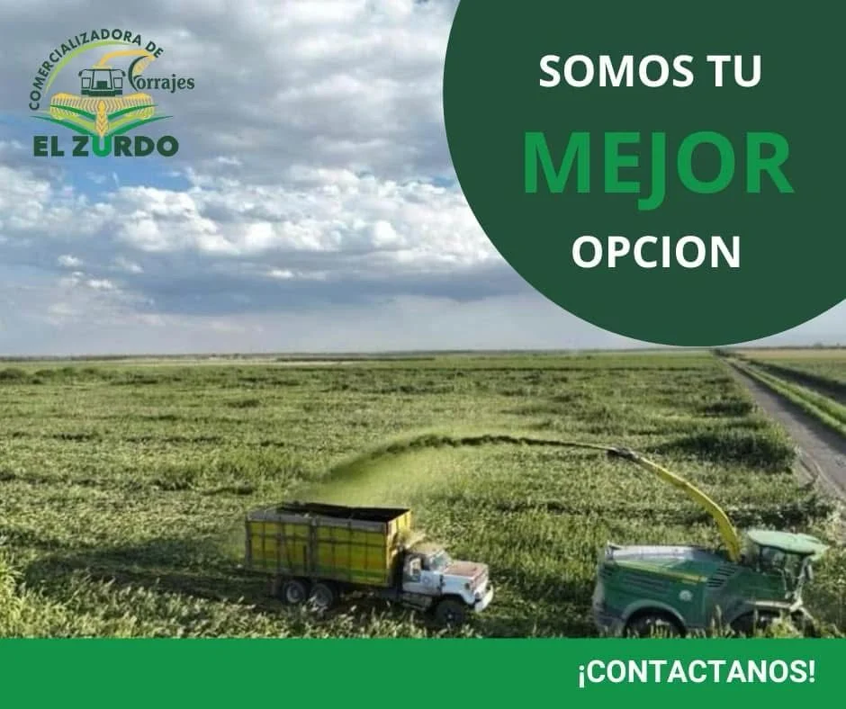 Imagen de servicio