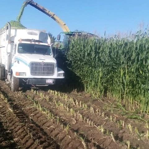 Imagen de servicio