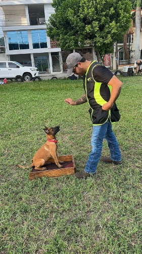 Imagen de servicio
