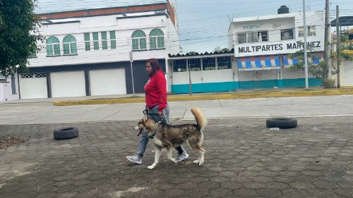 Imagen de servicio
