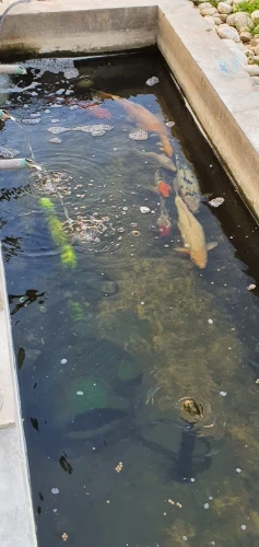 Imagen de servicio