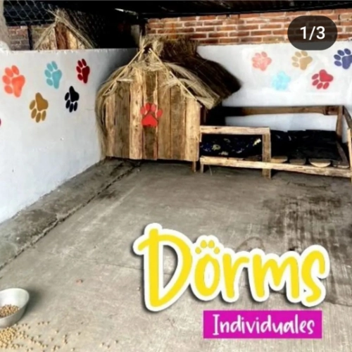 Imagen de servicio