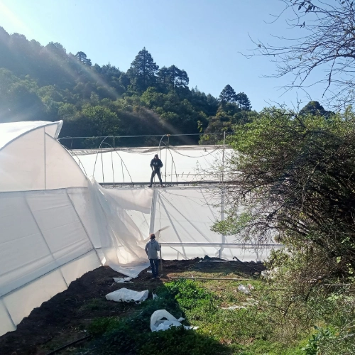 Imagen de servicio