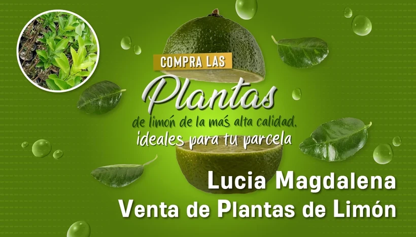 Tarjeta de presentación