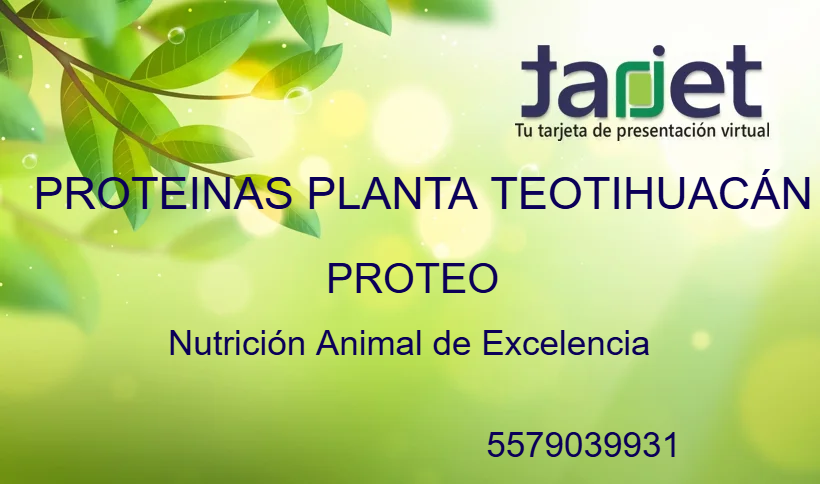 Tarjeta de presentación