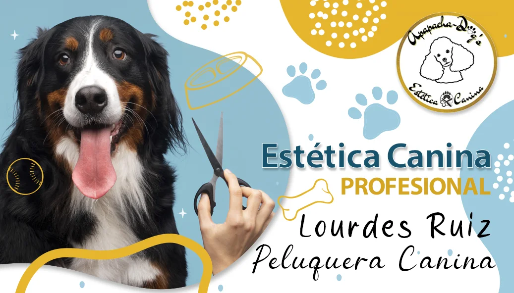 Tarjeta de presentación