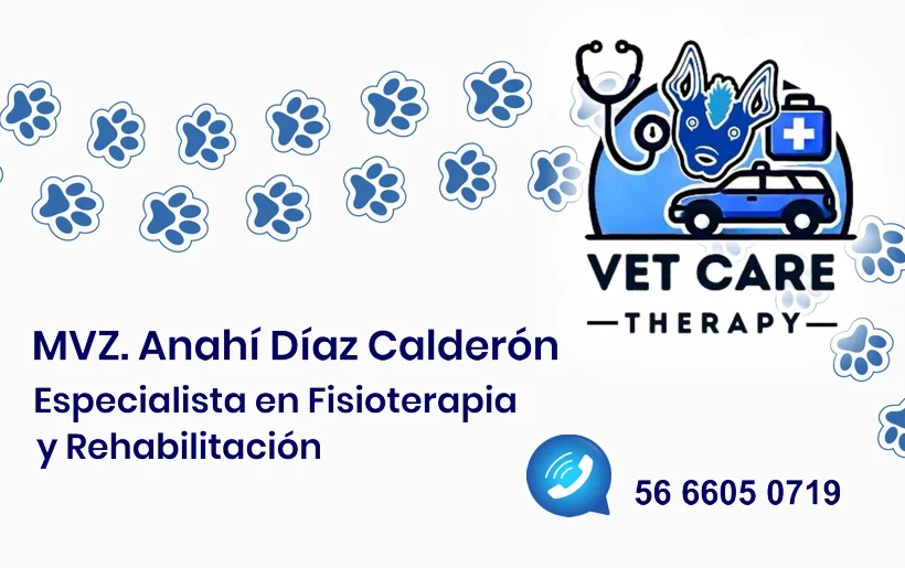 Tarjeta de presentación