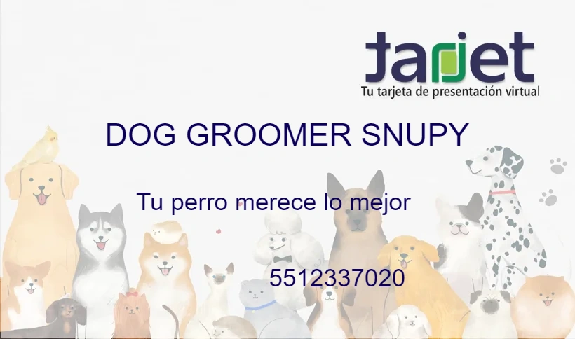 Tarjeta de presentación