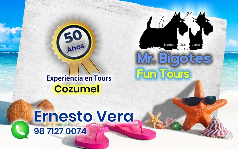 Tarjeta de presentación