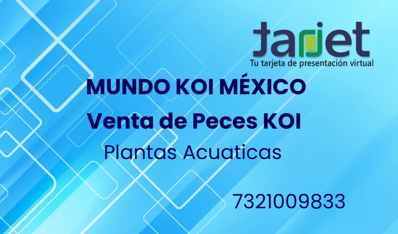 Tarjeta de presentación