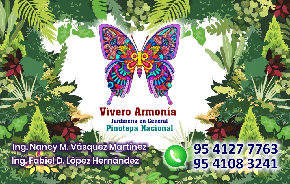 Tarjeta de presentación