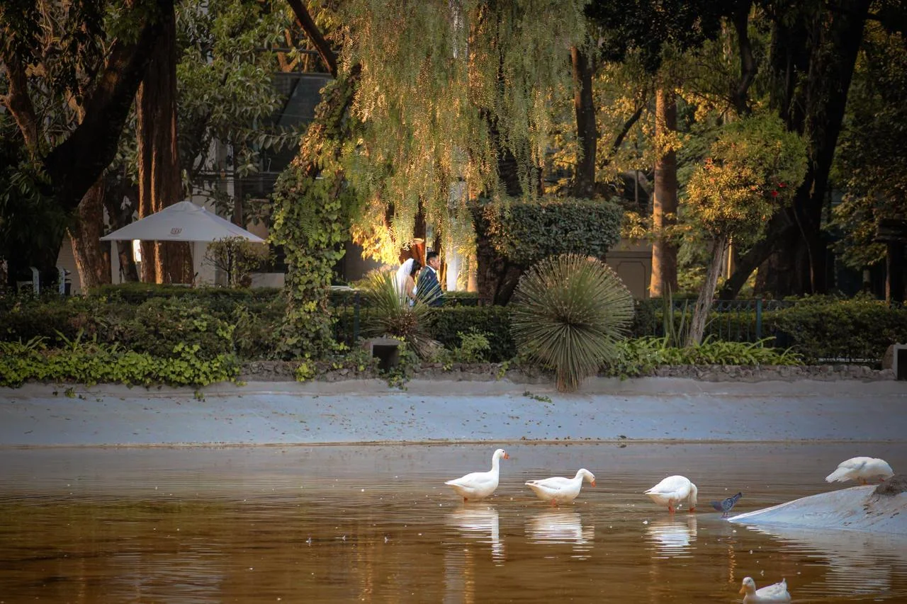 imagen de encabezado de servicios