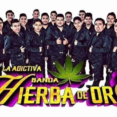 imagen de encabezado de servicios