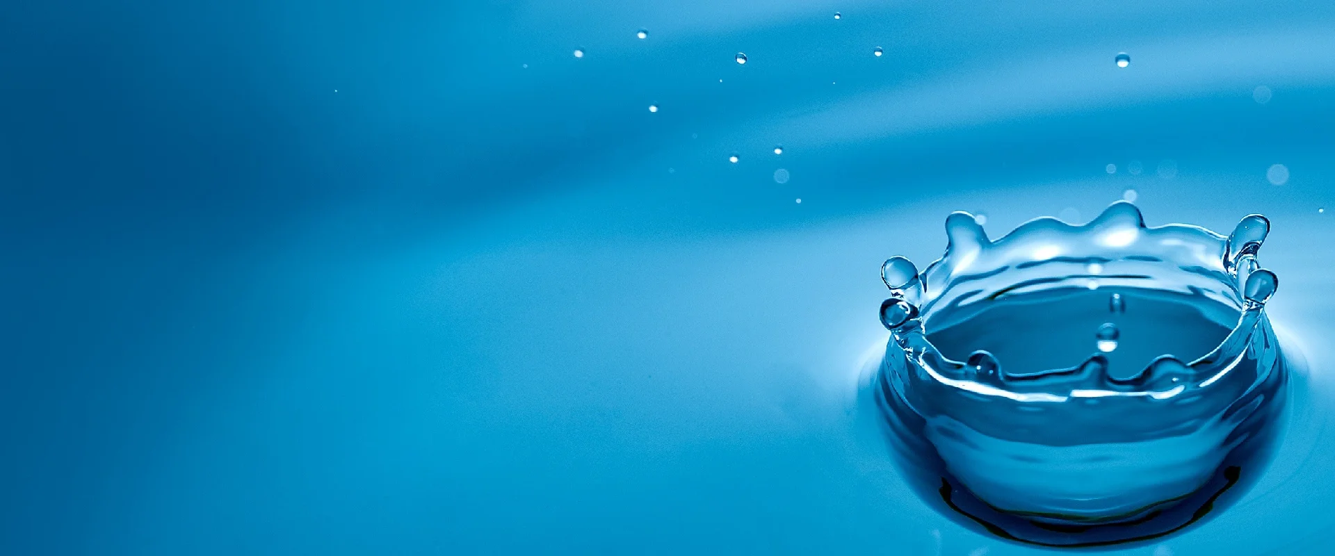 imagen de encabezado de servicios